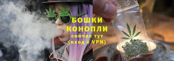 МДПВ Богородицк