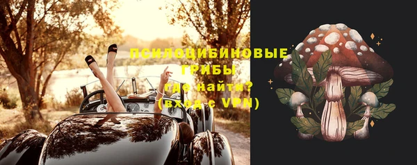 герыч Бородино